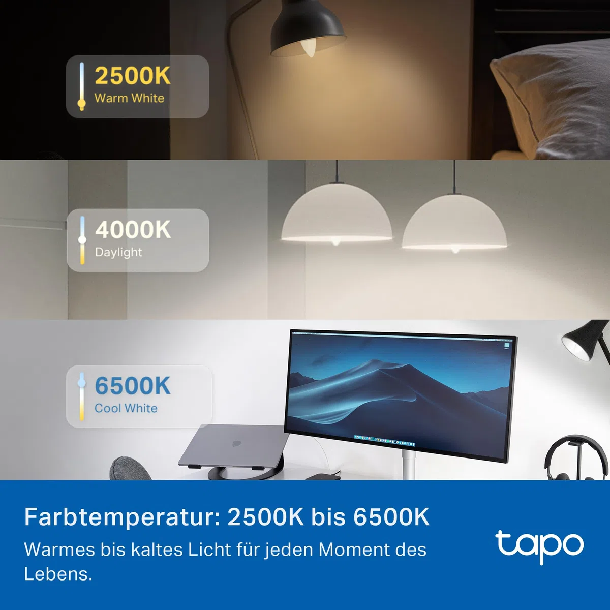 Tapo L430C(2-Pack) Smarte WLAN Glühbirne E14, 470 Lumen, 16 Mio. Farben, dimmbar, Zeitplan & Timer, Energieüberwachung, Kompatibel mit Alexa, Google Assistant und Samsung SmartThings